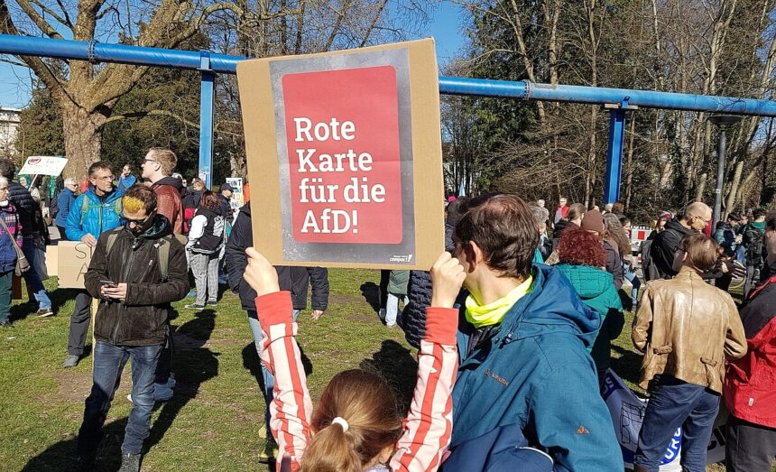 Protest Gegen Die Afd Kompr © H. Reile