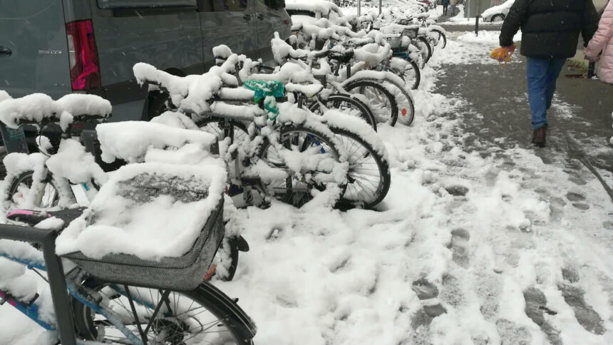 Symbolbild Fahrradparken, Abstellanlage, Paradies 2.12.2023 © Harald Borges