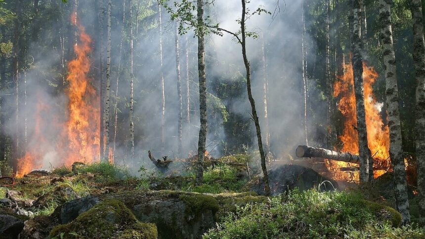 10. städtischer Klimaschutzbericht: Viel Planung, wenig Umsetzung