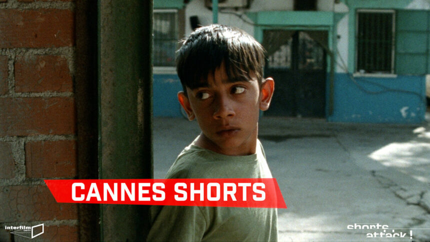 Cannes Shorts © Interfilm Berlin Zebra Kino