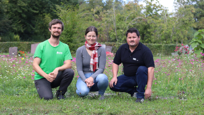 „Konstanz summt“: Neue Wildblumenwiesen am Hauptfriedhof