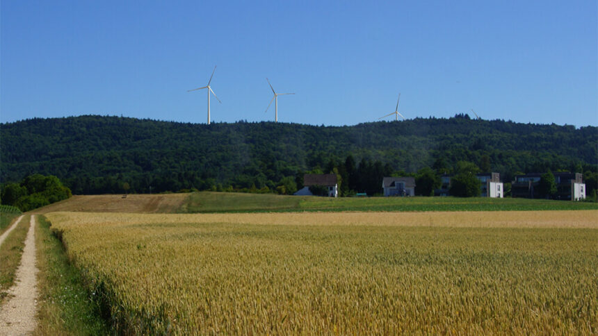 Ein Dorf kämpft gegen Windräder. Hilft der Rotmilan?